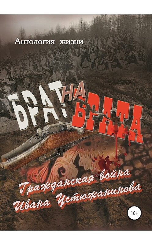 Обложка книги «Брат на брата» автора Геннадия Дёмочкина издание 2019 года.