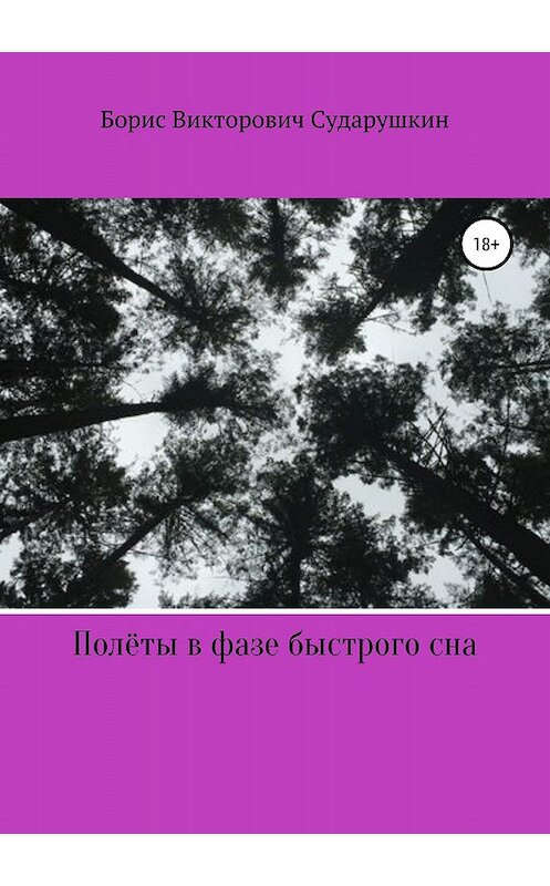 Обложка книги «Полёты в фазе быстрого сна» автора Бориса Сударушкина издание 2018 года.