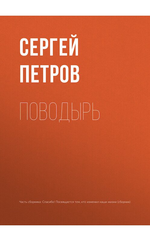 Обложка книги «Поводырь» автора Сергея Петрова.