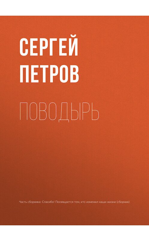 Обложка книги «Поводырь» автора Сергея Петрова.