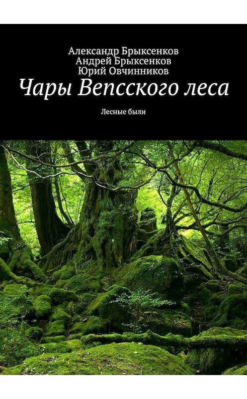 Обложка книги «Чары Вепсского леса. Лесные были» автора . ISBN 9785449635860.