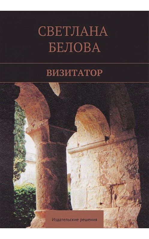 Обложка книги «Визитатор» автора Светланы Беловы. ISBN 9785447402303.