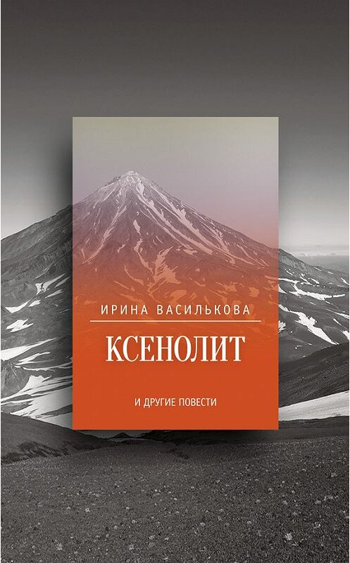 Обложка книги «Ксенолит и другие повести (сборник)» автора Ириной Васильковы издание 2015 года. ISBN 9785987098240.