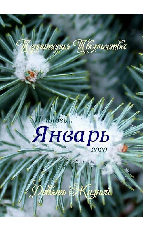 Обложка книги «Январь. Девять Жизней» автора Валентиной Спирины. ISBN 9785449817952.