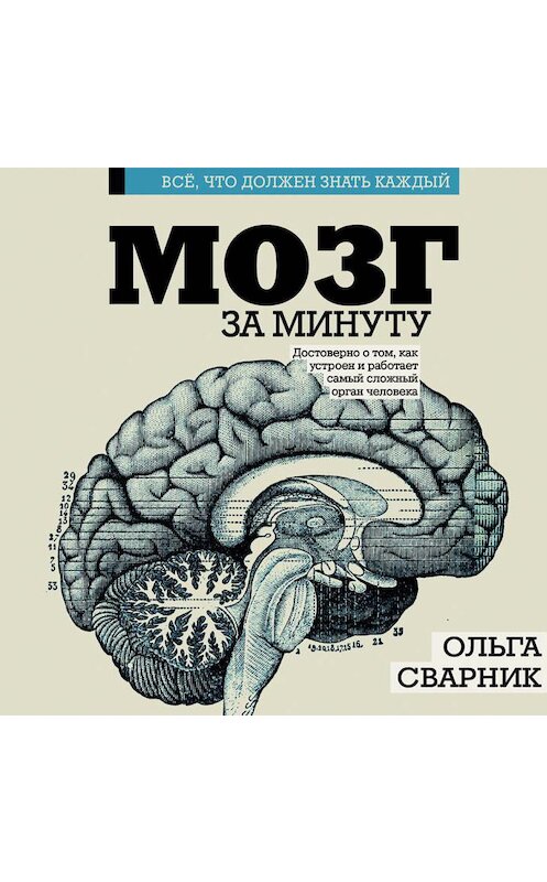 Обложка аудиокниги «Мозг за минуту» автора Ольги Сварника.
