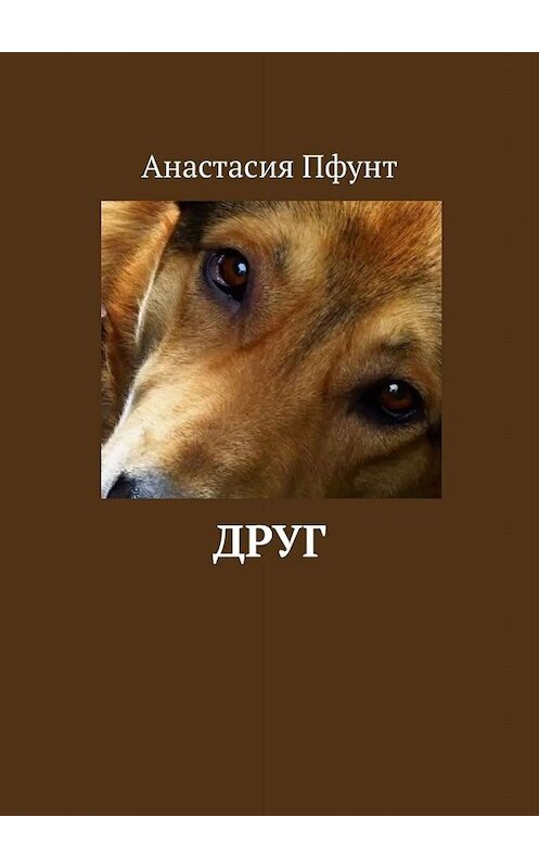 Обложка книги «Друг» автора Анастасии Пфунта. ISBN 9785449831781.