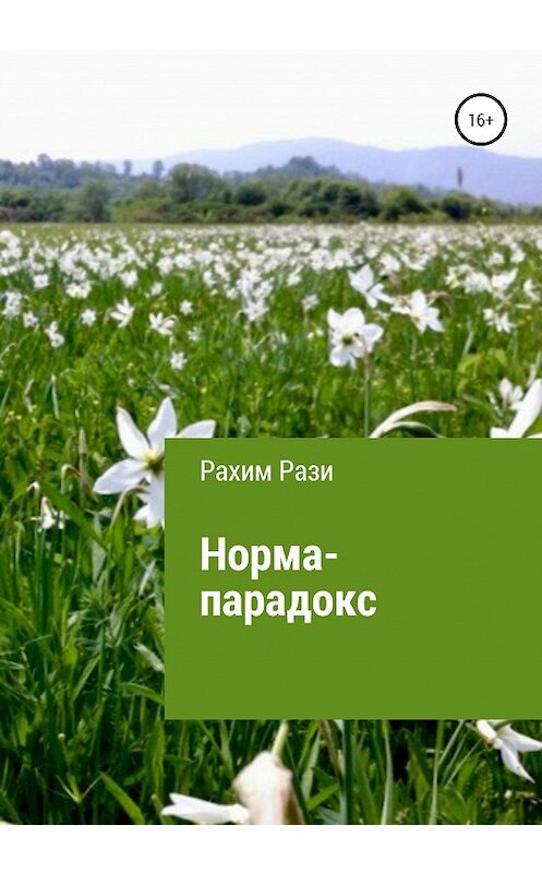 Обложка книги «Норма-парадокс» автора Рахим Рузи издание 2020 года.