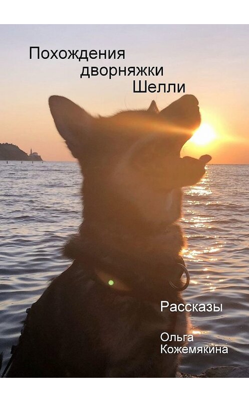 Обложка книги «Похождения дворняжки Шелли. Рассказы» автора Ольги Кожемякины. ISBN 9785005082848.