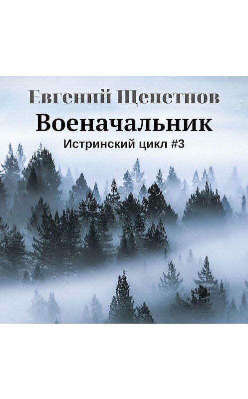 Обложка аудиокниги «Военачальник» автора Евгеного Щепетнова.