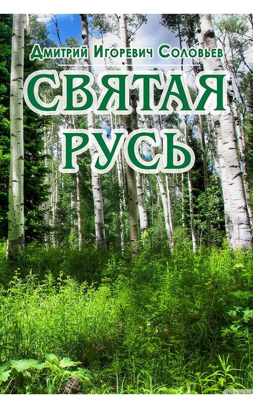 Обложка книги «Святая Русь» автора Дмитрия Соловьева издание 2017 года.