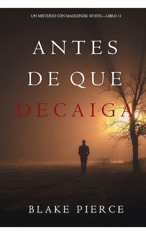 Обложка книги «Antes De Que Decaiga» автора Блейка Пирса. ISBN 9781094304113.