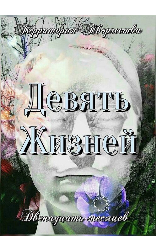 Обложка книги «Девять жизней. Двенадцать месяцев» автора Валентиной Спирины. ISBN 9785449339997.