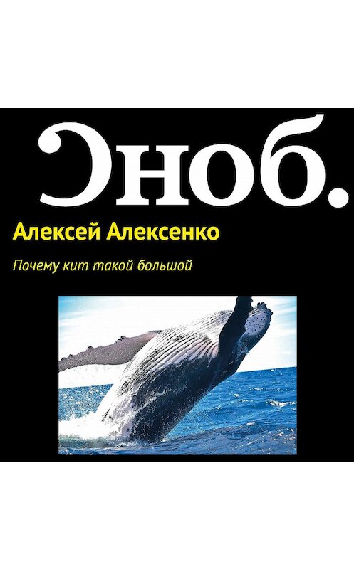 Обложка аудиокниги «Почему кит такой большой» автора Алексей Алексенко.