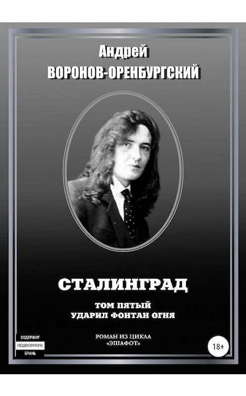 Обложка книги «Сталинград. Том пятый. Ударил фонтан огня» автора Андрея Воронов-Оренбургския издание 2020 года. ISBN 9785532052291.