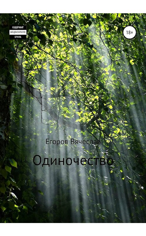 Обложка книги «Одиночество» автора Вячеслава Егорова издание 2020 года.