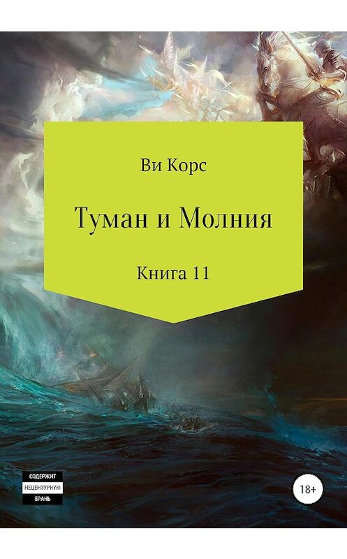 Обложка книги «Туман и Молния. Книга 11» автора Ви Корса издание 2020 года.