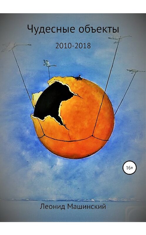Обложка книги «Чудесные объекты» автора Леонида Машинския издание 2020 года.