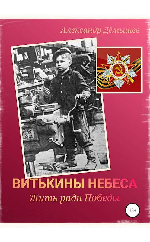Обложка книги «Витькины небеса. Жить ради Победы» автора Александра Дёмышева издание 2019 года.
