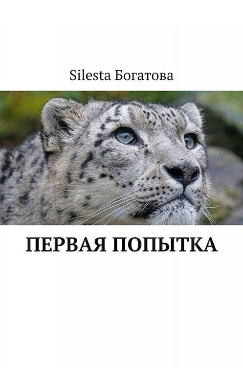 Обложка книги «Первая попытка» автора Silesta Богатовы. ISBN 9785449663658.