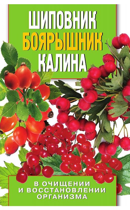 Обложка книги «Шиповник, боярышник, калина в очищении и восстановлении организма» автора Аллы Нестеровы издание 2011 года. ISBN 9785386035518.