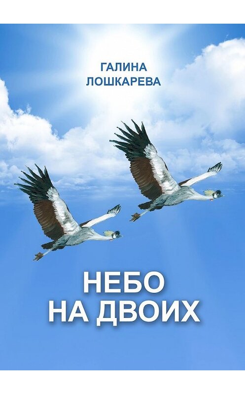 Обложка книги «Небо на двоих» автора Галиной Лошкаревы. ISBN 9785449621535.