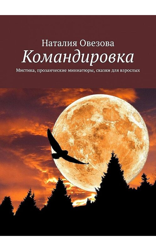 Обложка книги «Командировка. Мистика, прозаические миниатюры, сказки для взрослых» автора Наталии Овезовы. ISBN 9785449611253.