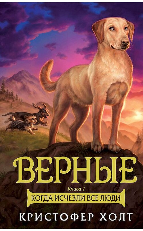 Обложка книги «Верные. Книга 1. Когда исчезли все люди» автора Кристофера Холта. ISBN 9785389164109.