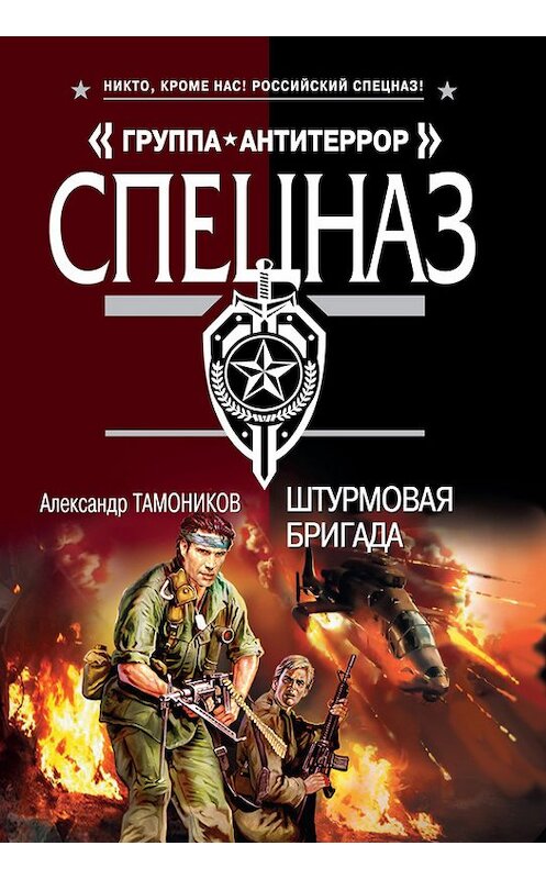 Обложка книги «Штурмовая бригада» автора Александра Тамоникова издание 2013 года. ISBN 9785699676927.