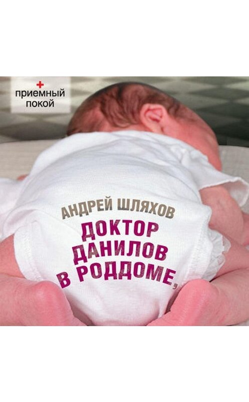 Обложка аудиокниги «Доктор Данилов в роддоме, или Мужикам тут не место» автора Андрея Шляхова.