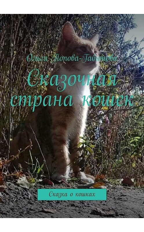 Обложка книги «Сказочная страна кошек. Сказка о кошках» автора Ольги Попова-Габитовы. ISBN 9785005064066.