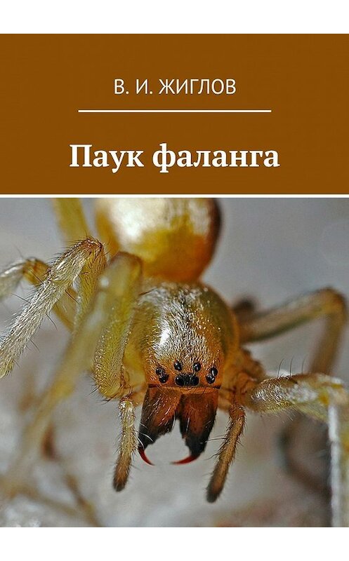 Обложка книги «Паук фаланга» автора В. Жиглова. ISBN 9785447476311.