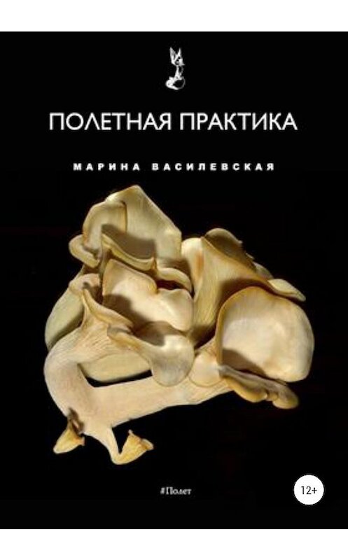 Обложка книги «Полетная практика» автора Мариной Василевская издание 2020 года.