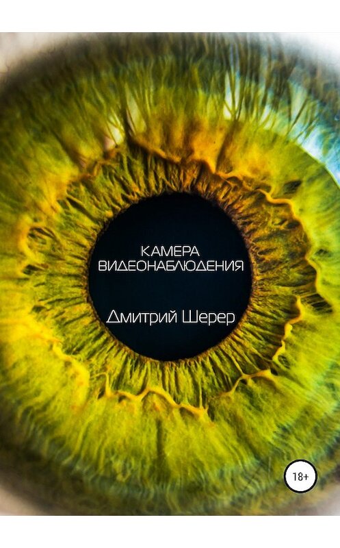 Обложка книги «Камера видеонаблюдения» автора Дмитрия Шерера издание 2019 года. ISBN 9785532107755.