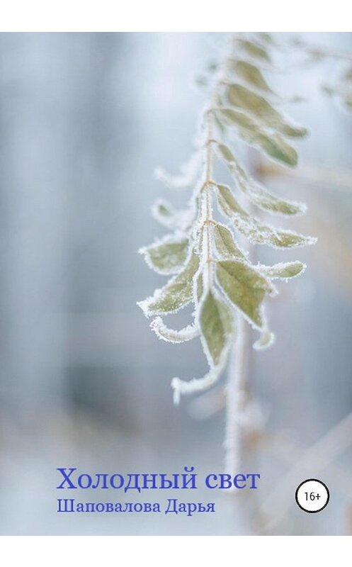Обложка книги «Холодный свет» автора Дарьи Шаповаловы издание 2020 года.