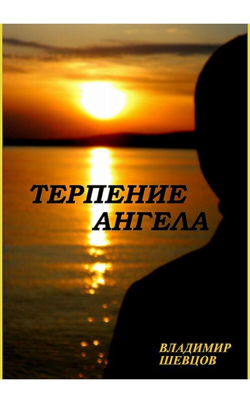 Обложка книги «Терпение ангела» автора Владимира Шевцова издание 2018 года.