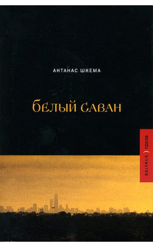 Обложка книги «Белый саван» автора Антанаса Шкемы издание 2006 года. ISBN 5983790668.