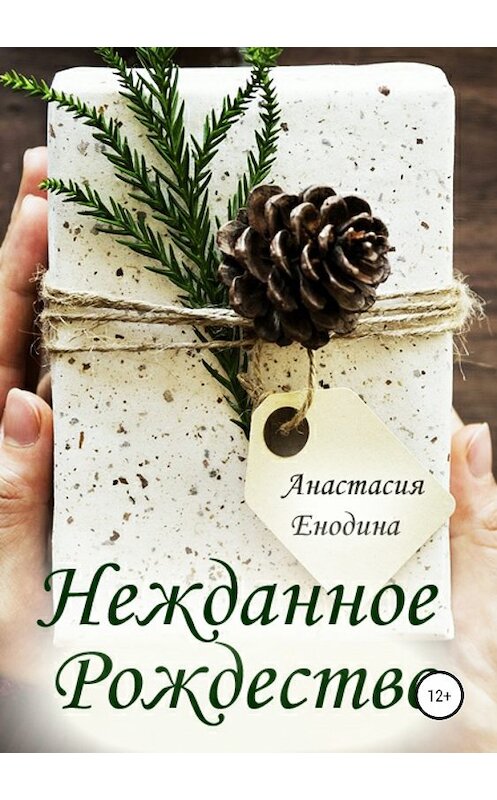 Обложка книги «Нежданное Рождество» автора Анастасии Енодины издание 2018 года.