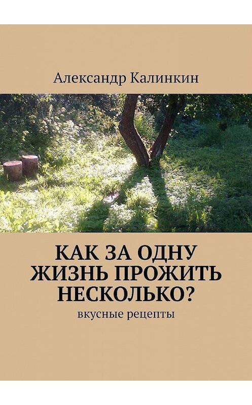 Обложка книги «Как за одну жизнь прожить несколько? Вкусные рецепты» автора Александра Калинкина. ISBN 9785449693174.