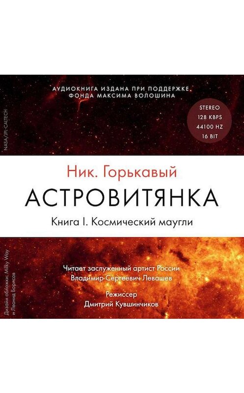 Обложка аудиокниги «Астровитянка. Книга I. Космический маугли» автора Николая Горькавый. ISBN 9785961443585.