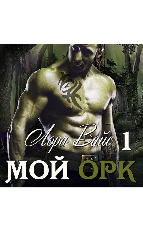 Обложка аудиокниги «Мой орк» автора Лоры Вайса.