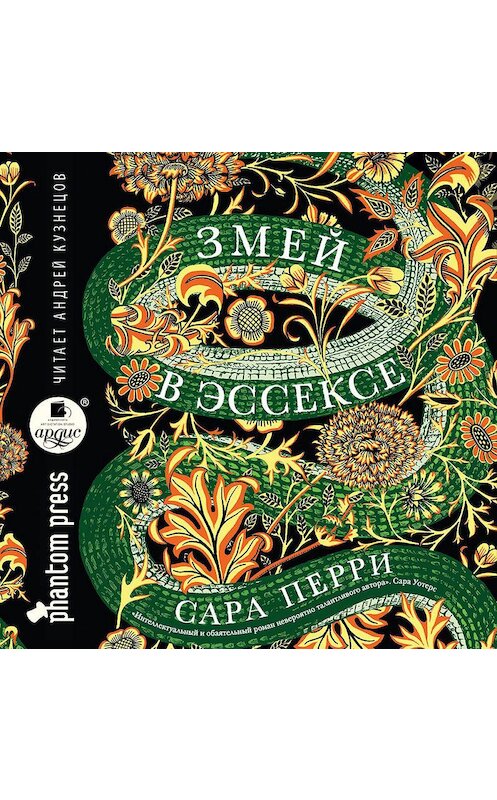 Обложка аудиокниги «Змей в Эссексе» автора Сары Перри.