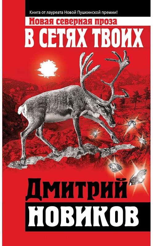 Обложка книги «В сетях Твоих» автора Дмитрия Новикова издание 2014 года. ISBN 9785699717736.