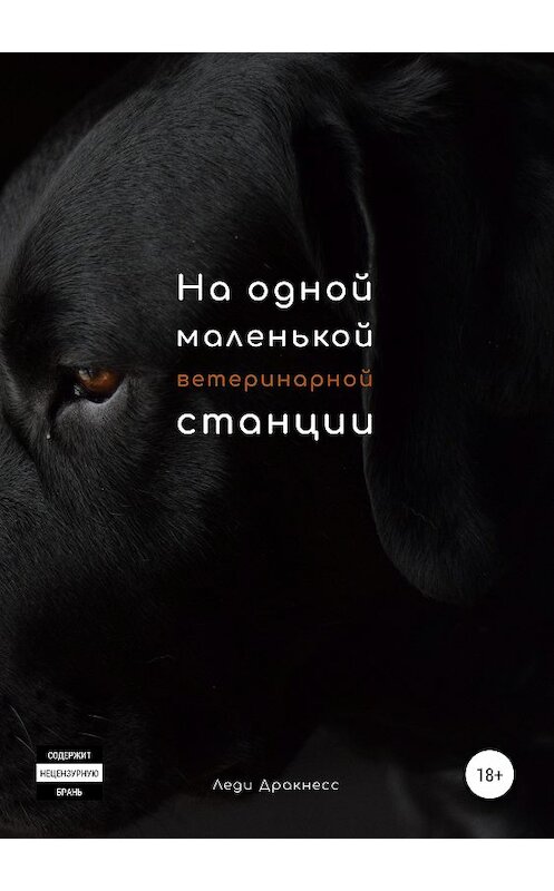 Обложка книги «На одной маленькой ветеринарной станции» автора Леди Дракнесса издание 2020 года.