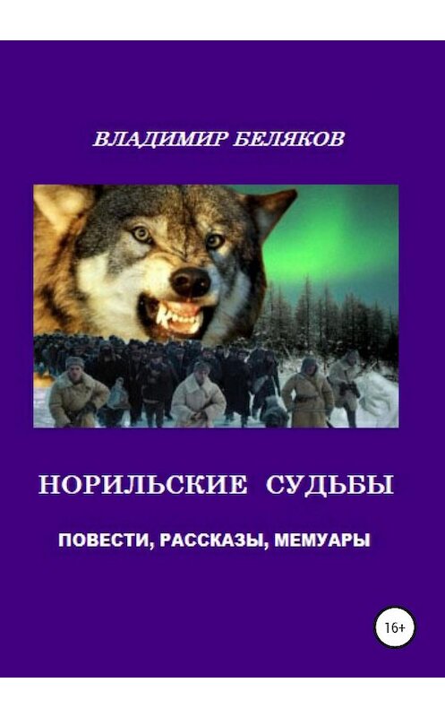 Обложка книги «Норильские судьбы» автора Владимира Белякова издание 2020 года. ISBN 9785532997677.