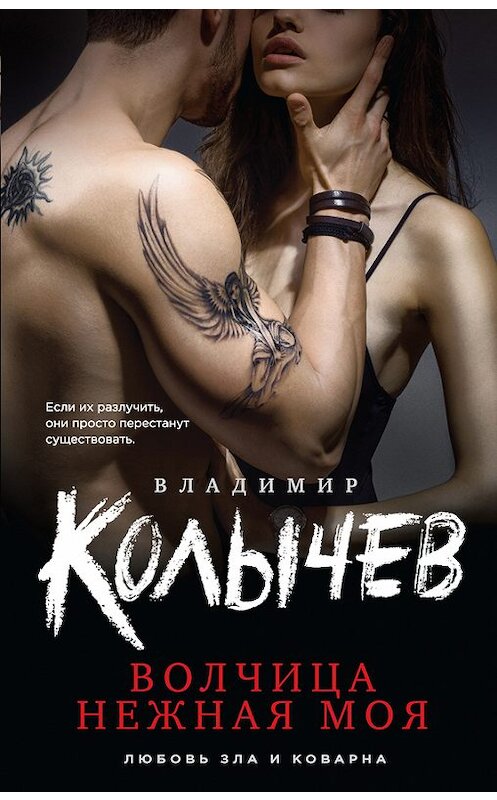 Обложка книги «Волчица нежная моя» автора Владимира Колычева издание 2015 года. ISBN 9785699832378.