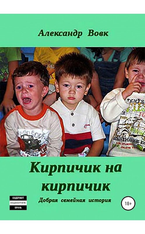 Обложка книги «Кирпичик на кирпичик» автора Александра Вовка издание 2019 года.