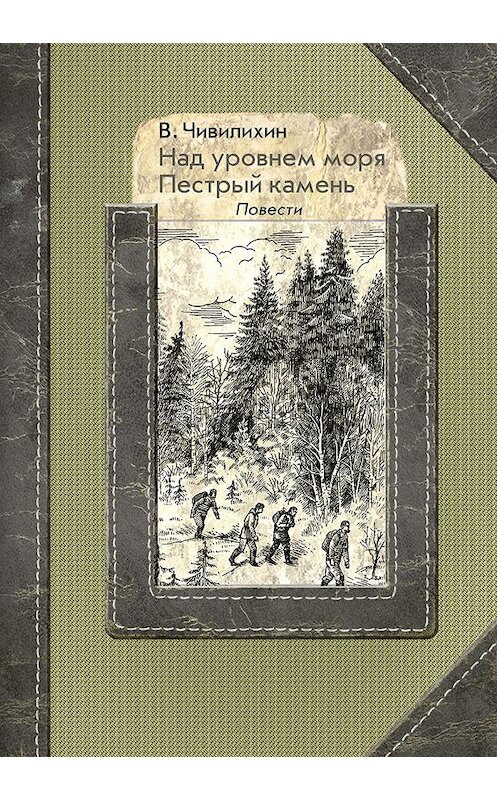 Обложка книги «Над уровнем моря. Пестрый камень» автора Владимира Чивилихина издание 2019 года. ISBN 9785604278925.