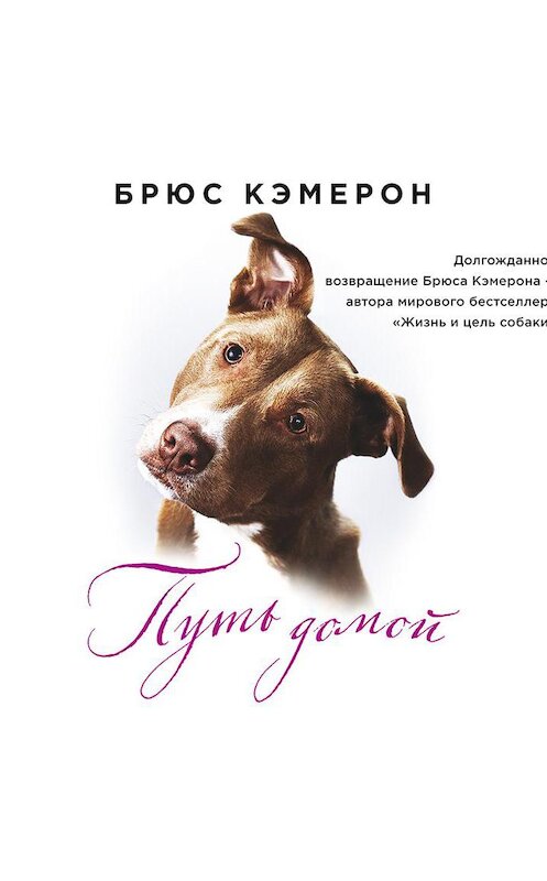 Обложка аудиокниги «Путь домой» автора Брюса Кэмерона.