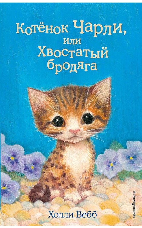 Обложка книги «Котёнок Чарли, или Хвостатый бродяга» автора Холли Вебба издание 2019 года. ISBN 9785041049157.