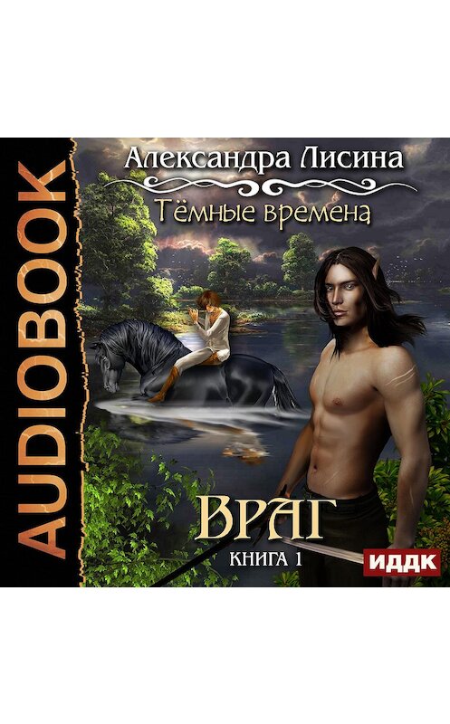 Обложка аудиокниги «Темные времена. Враг» автора Александры Лисины.